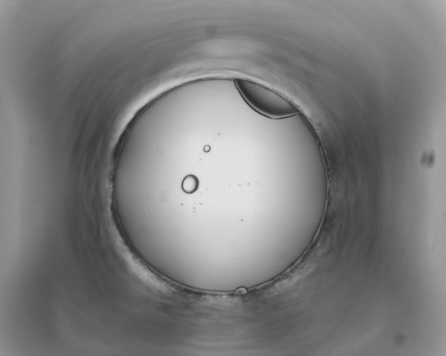 X0000096181526200802011330