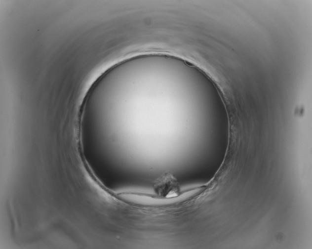X0000096181527200802011330