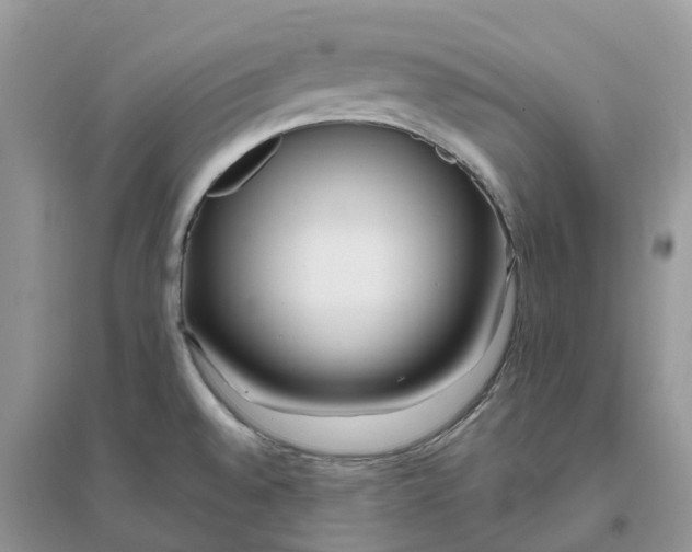 X0000096181528200802011330