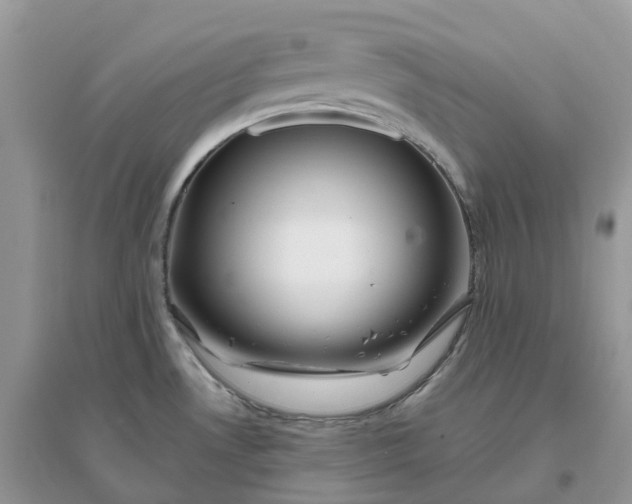 X0000096181530200802011330