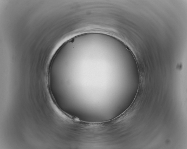 X0000096181531200802011330