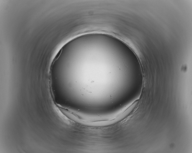 X0000096181532200802011330