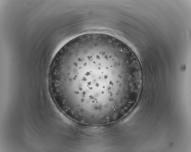 X0000096181533200802011330