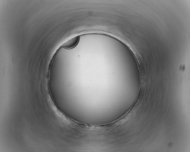 X0000096181534200802011330