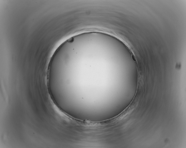 X0000096181535200802011330