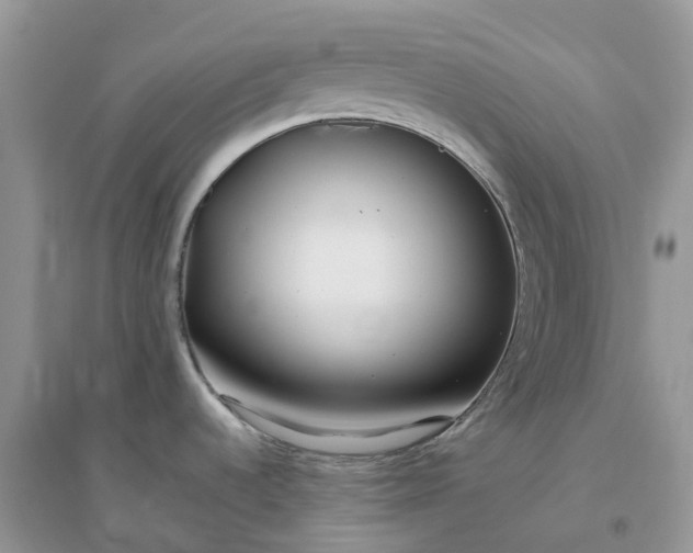 X0000096181536200802011330