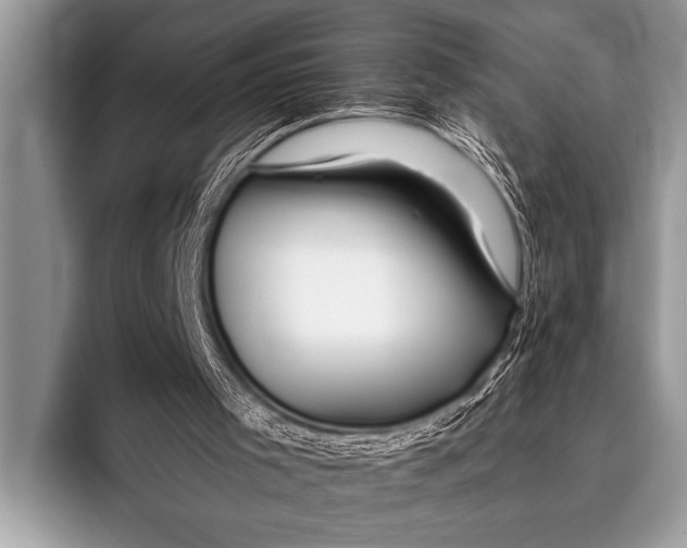 X0000096180001200802081509