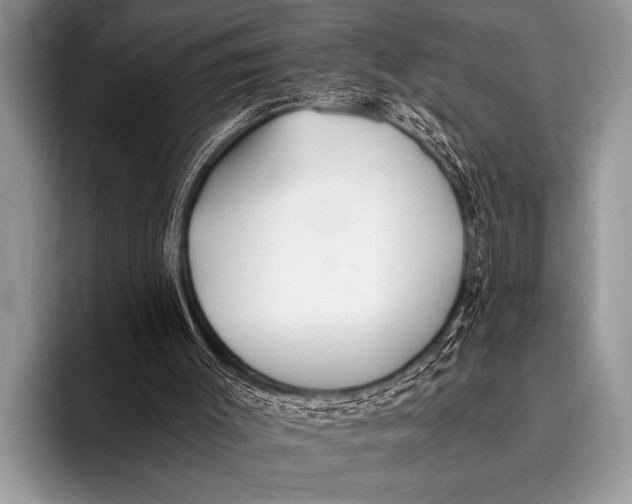 X0000096180003200802081509