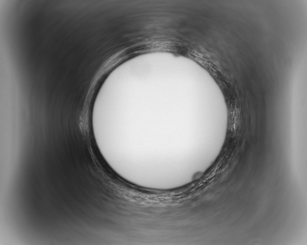 X0000096180004200802081509