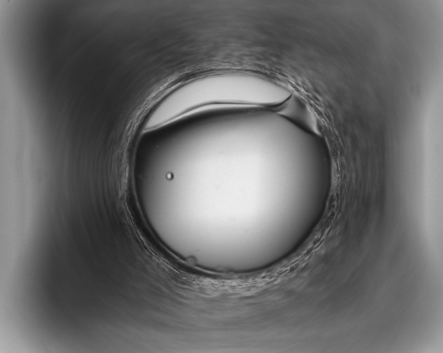 X0000096180005200802081509