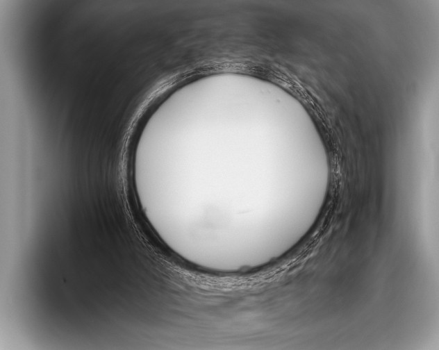 X0000096180006200802081509