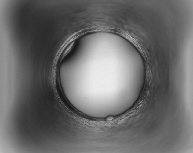 X0000096180007200802081509