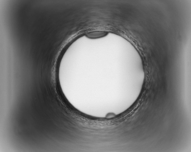 X0000096180008200802081509