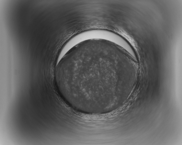 X0000096180009200802081509