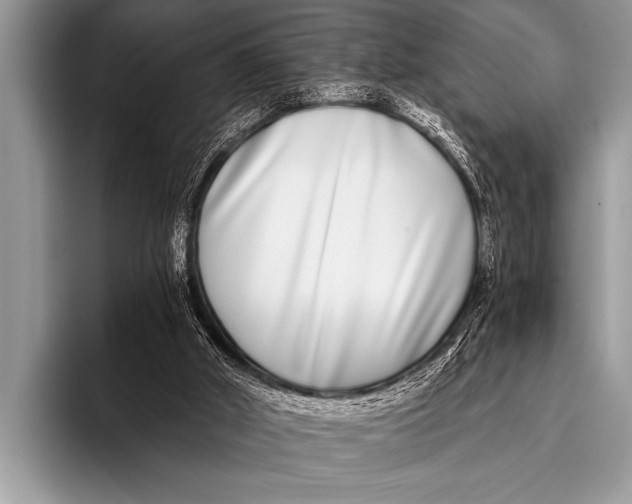 X0000096180010200802081509