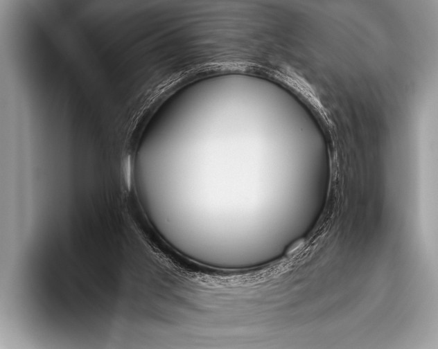 X0000096180013200802081509