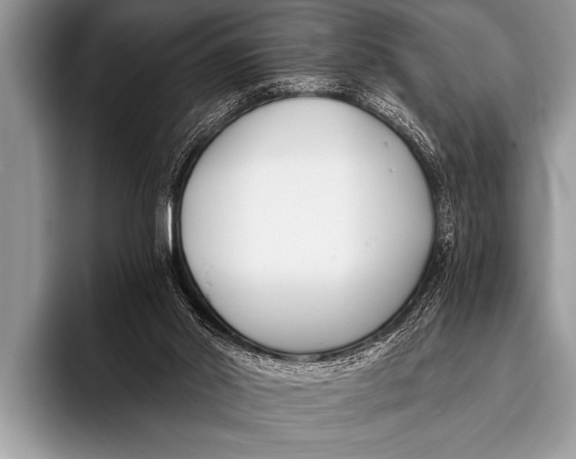 X0000096180014200802081509