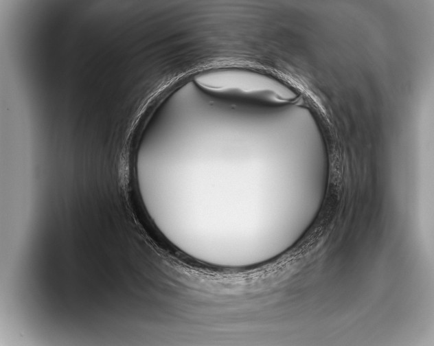 X0000096180015200802081509