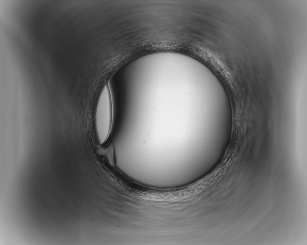 X0000096180017200802081509