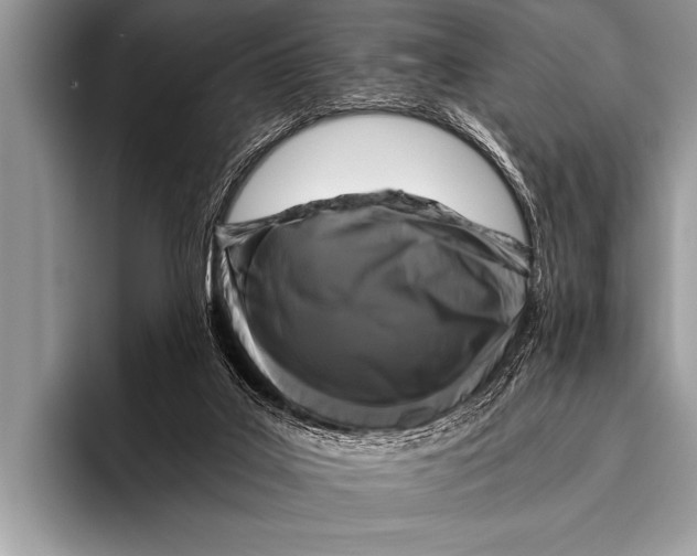 X0000096180019200802081509