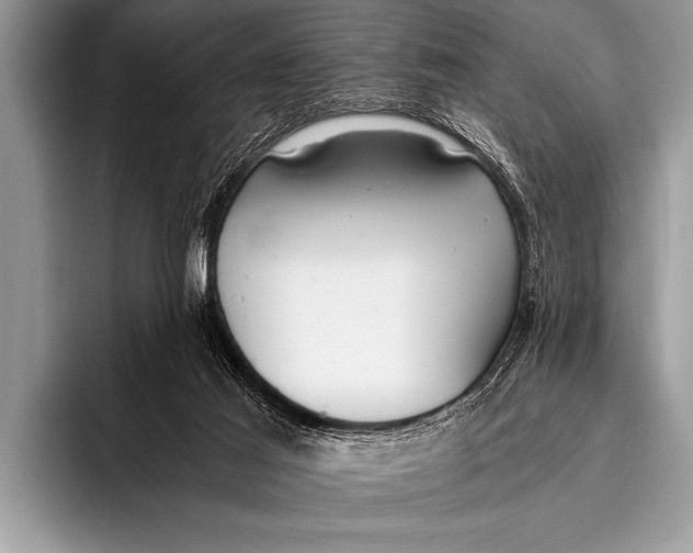 X0000096180021200802081509