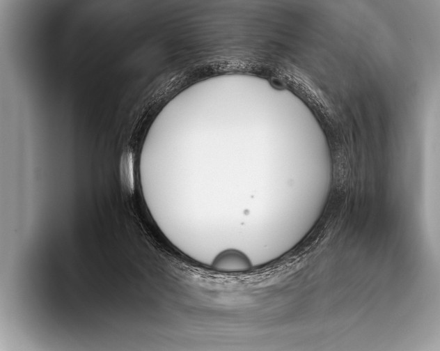 X0000096180022200802081509