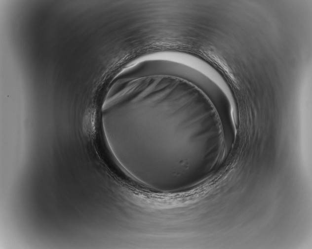 X0000096180023200802081509