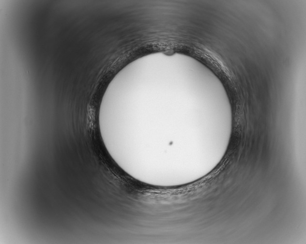 X0000096180025200802081509
