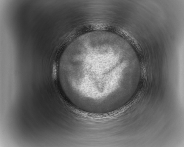 X0000096180026200802081509