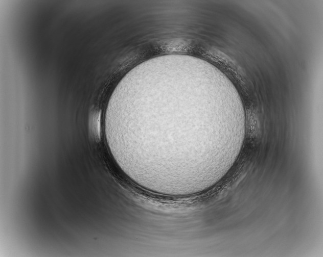 X0000096180028200802081509
