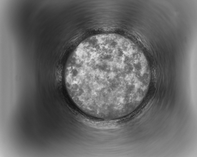 X0000096180032200802081508