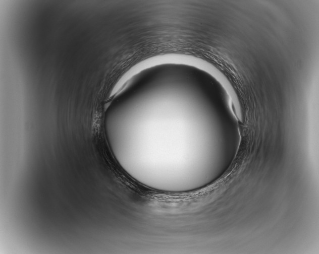 X0000096180033200802081508