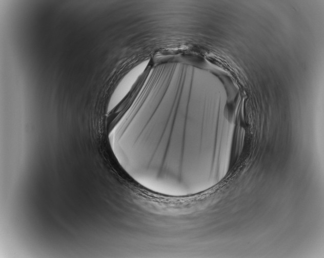 X0000096180035200802081508