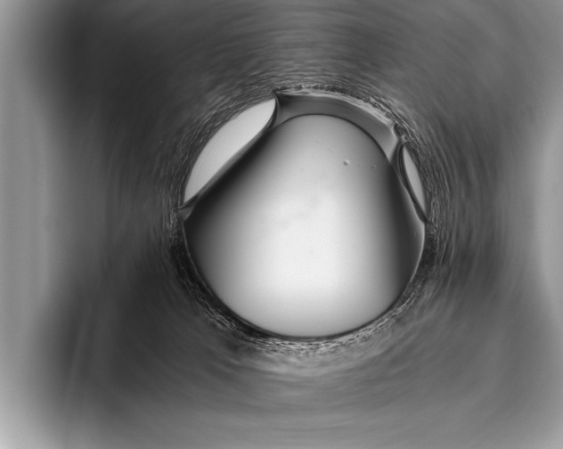 X0000096180037200802081508