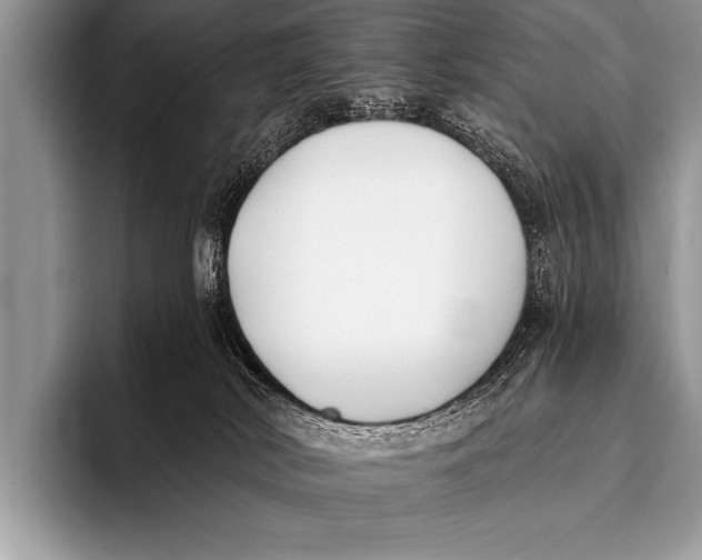 X0000096180038200802081508