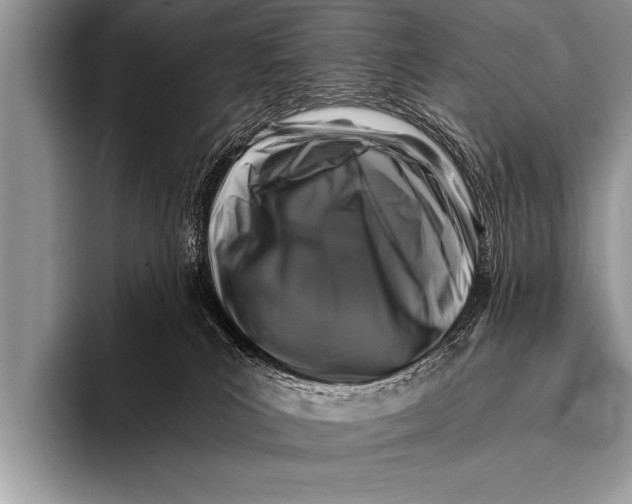 X0000096180039200802081508