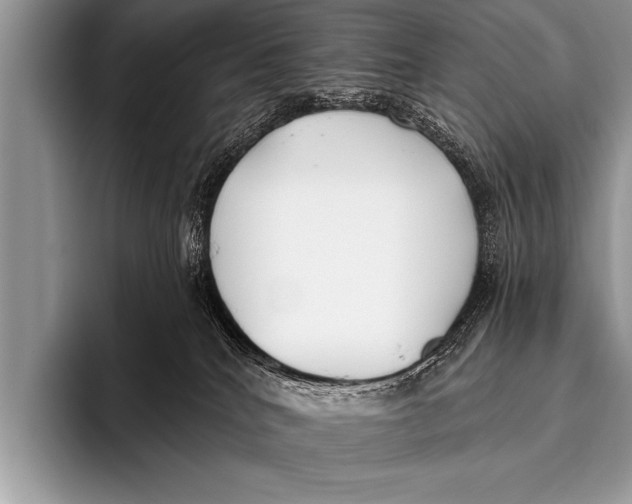 X0000096180040200802081508