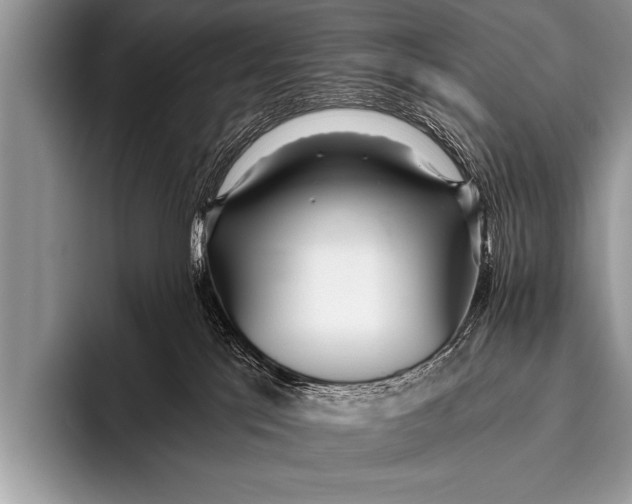 X0000096180041200802081508