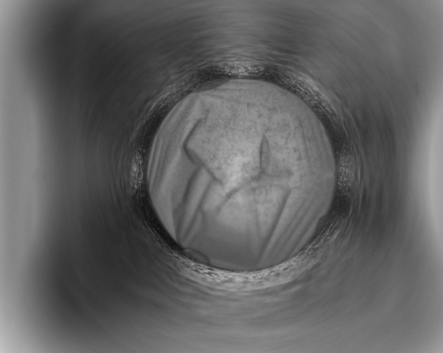 X0000096180043200802081508