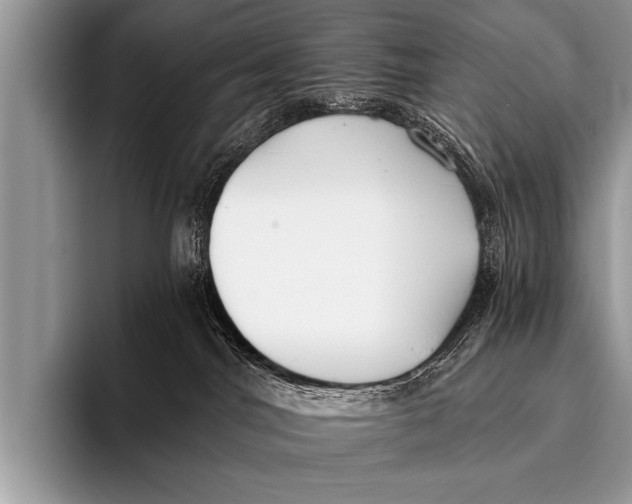 X0000096180044200802081508