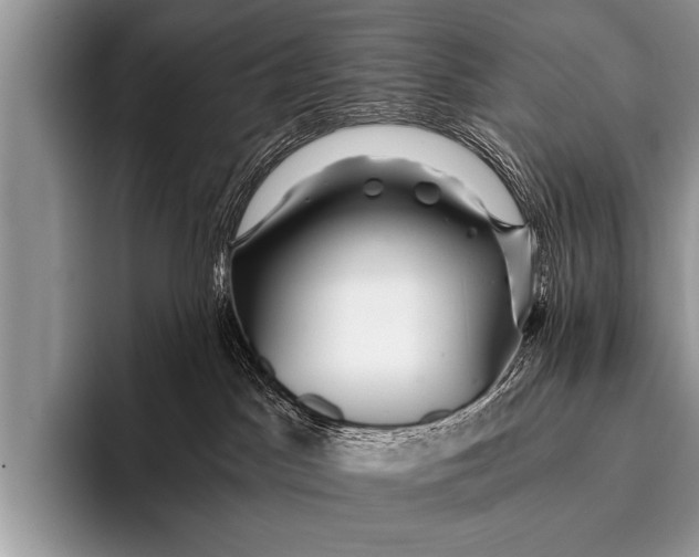 X0000096180045200802081508