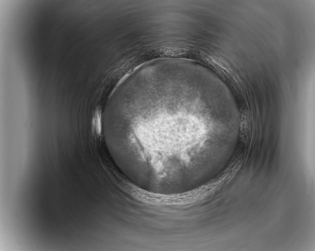 X0000096180046200802081508