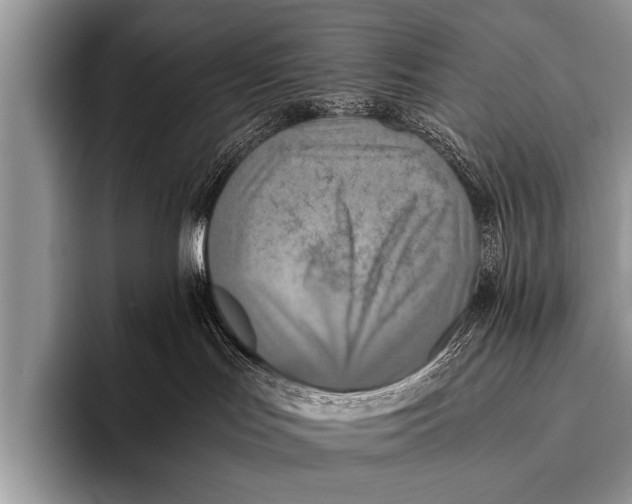 X0000096180047200802081508