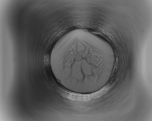 X0000096180048200802081508
