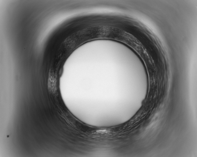 X0000096180050200802081508