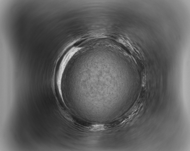 X0000096180052200802081508