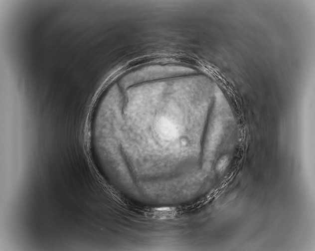 X0000096180053200802081508