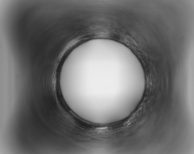 X0000096180054200802081508