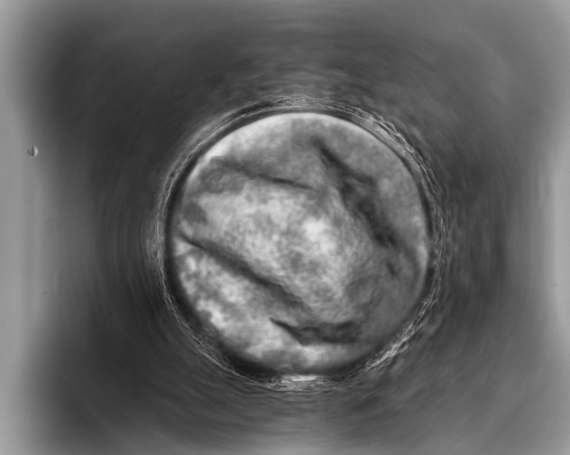 X0000096180055200802081508