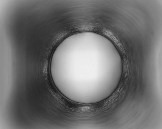 X0000096180058200802081508